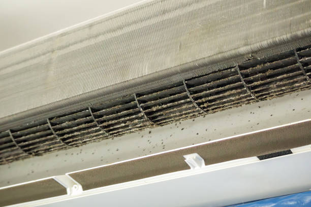 Best Ductwork Cleaning Services  in West Yarmouth, MA
